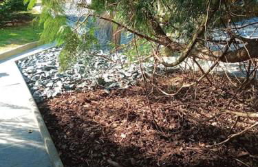 Micro maison ISBA Sedan - Foto 19