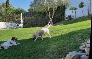 Villa Maioli - Photo 32