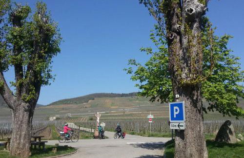 Naova Cosy Studio - Foto 34