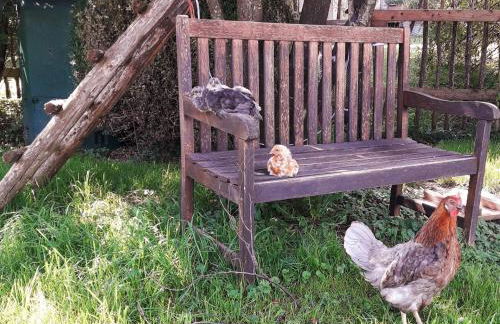 Beim Heiß'n - Photo 16