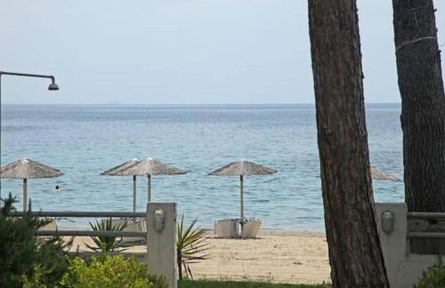 Marine Wave - Foto 15