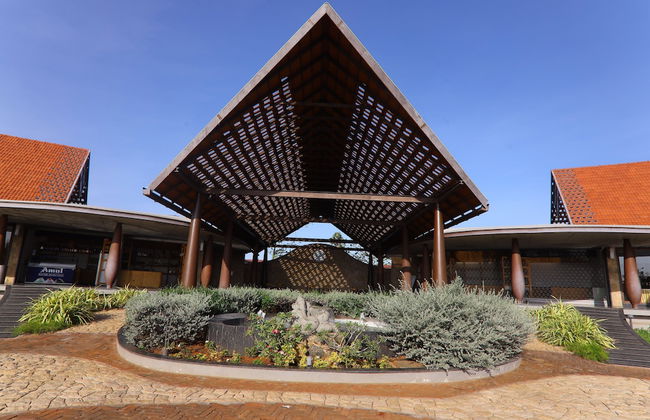 LA PALMERA - Foto 77