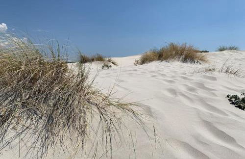 Residence Elegance Villa La Sterlizia Porto Pino - Foto 12