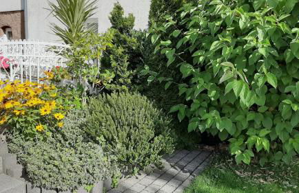 Ferienhaus Wurzelbergblick - Foto 9