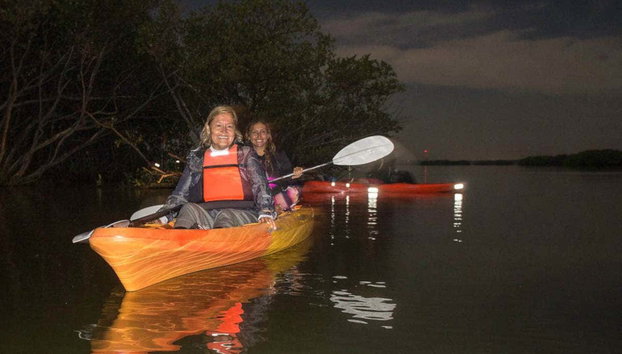 Tour nocturno en kayak por los manglares de Mandinga - Foto 4, En kayak por los manglares