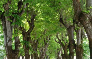 Casa Ernesto-AMICA DEI CICLISTI - Foto 62