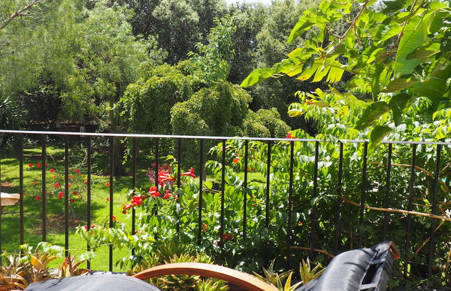 Son Mercadal - Foto 17