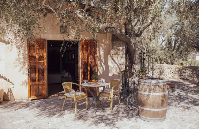 Hotel Rural Can Feliu - Foto 15