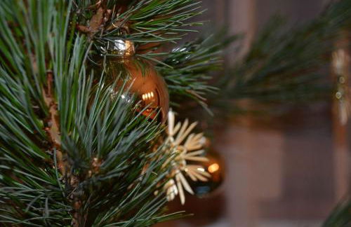 Haus Kargruber - Photo 24