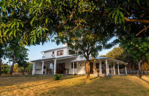 Casa Blue Parrot – Um Paraíso na Praia da Taíba - Foto 51