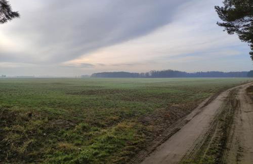 Ferienhaus Erna - Foto 43