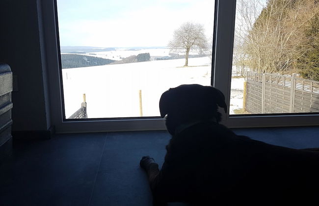 Eifel Dream Ardennenblick - Photo 21