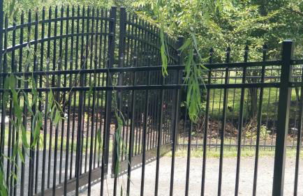 Beautiful 1BR Walkout Fenced & Gated Villa - Photo 21