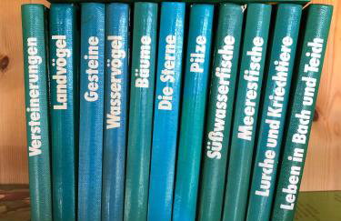 Ferienhaus an der Agger - Foto 8