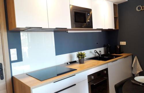 Studio La Charentaise - Logement de vacances 2 personnes vue mer - Foto 7