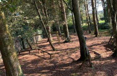 Hengar Manor 4 bed Sleeps 9 - Foto 46