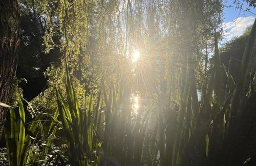 Riverside Studio - Foto 33