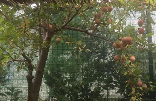 La Casina di Forte - Foto 27