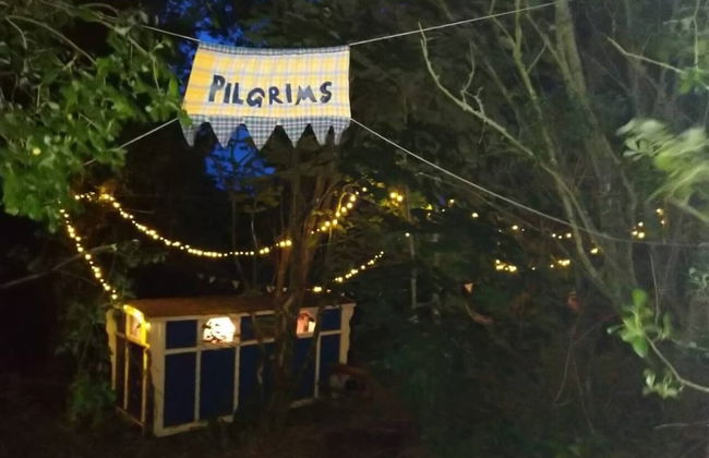 Pilgrims Shepherd's Hut - Goosewell Glynn Glamping - Foto 17