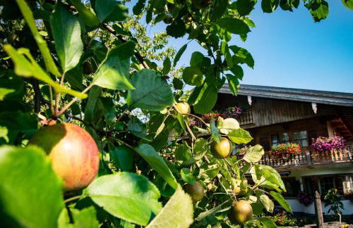 Gästehaus Becher, Kreuth-Point - Foto 6