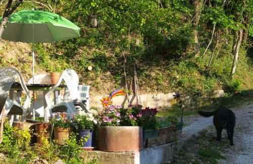 Agriturismo Becerca Vegan - Foto 59