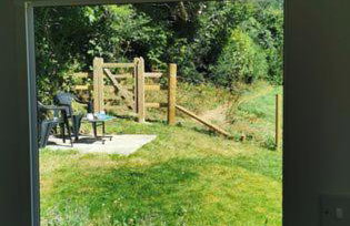 Meadow Bluebird - Foto 3