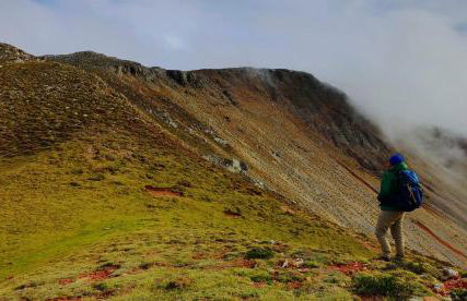 Sunshine Home - Peaceful Garden Escape & Parking - Foto 24