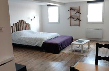 Studio Les Cadichons de la Grange - Foto 1