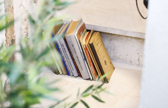 Galathea House - Foto 14