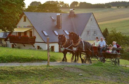 Ferienhof Kürschner - Foto 12