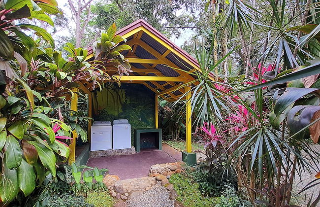 Cabinas Costa Tropicana - Foto 35