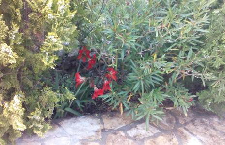 Apartment Tuja - Foto 34