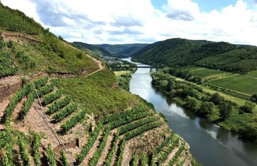 Ferienwohnungen Merl - Foto 55