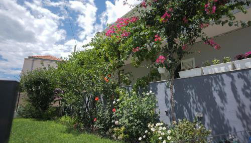 Apartman Providenca - Foto 4