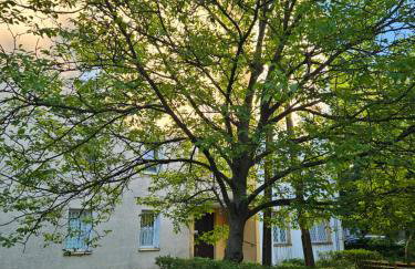 Apartament Milanówek - Foto 13