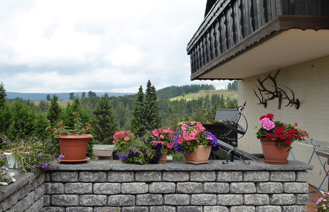 Landhaus Fischer - Foto 53