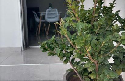 Sunrise Apartment 2 - Foto 22