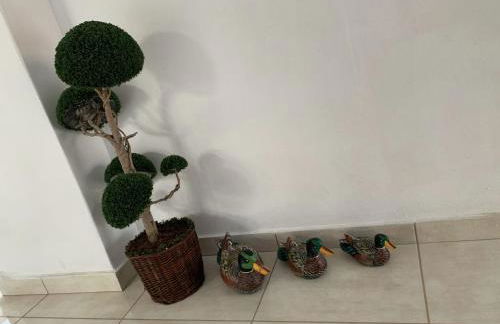 Maria's modern studio 5min from beach - Foto 28