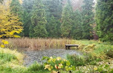 Blissful Solitude Cottage - Foto 37