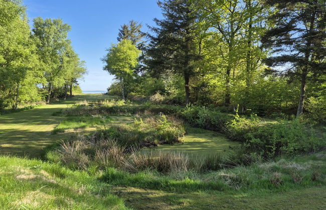 "Aswarth" - 50m to the fjord - Photo 3