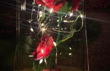 L'enchantée, 6 people, 15 min Disneyland Paris, BBQ - Foto 50