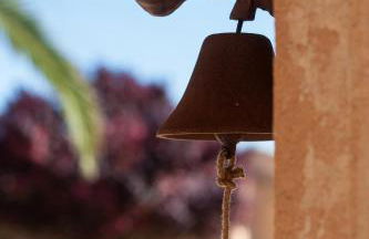 Finca Agroturismo Can Carro - Foto 14