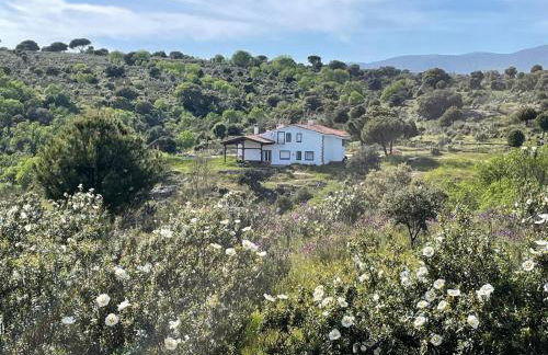 Finca Altair - Foto 8