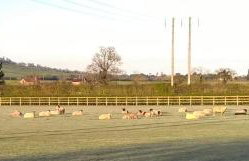 Church Farm - Foto 17