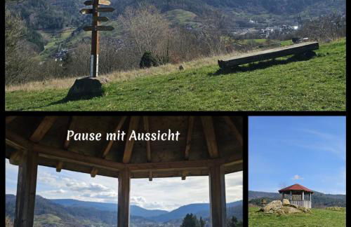 Panoramablick Bermersbach - Foto 22