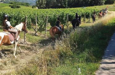 LA CASA IN CAMPAGNA esclusiva - Foto 79