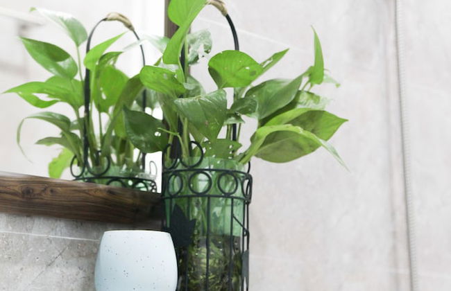 Cukoo House - Foto 40