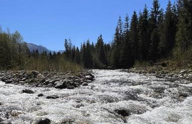 DZIUPLA - Tatra Rustic Log Cabin - Foto 29