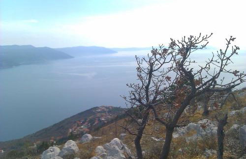 Apartments Plavčić - Foto 42