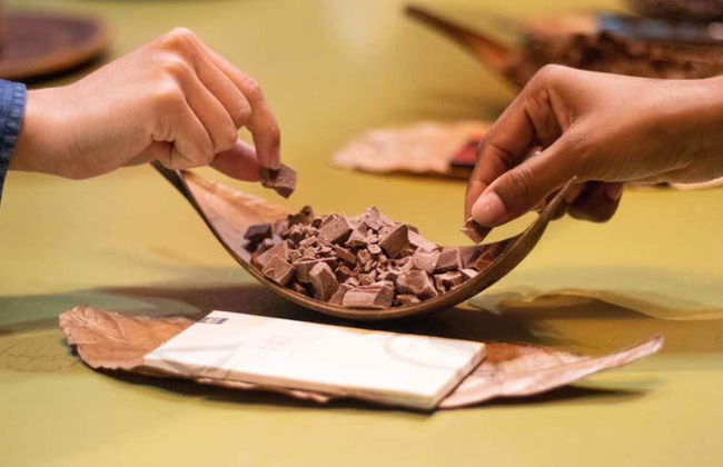 Taller de chocolate en Kahkow Experience - Foto 8